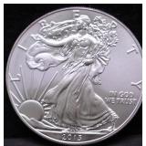 2013 SILVER EAGLE GEM