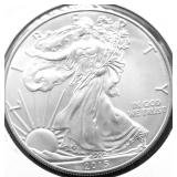 2015 SILVER EAGLE GEM