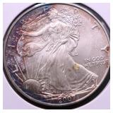 2007 SILVER EAGLE GEM