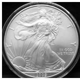 2009 SILVER EAGLE GEM