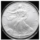2007 SILVER EAGLE GEM