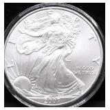 2007 SILVER EAGLE GEM