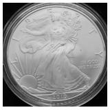 2010 SILVER EAGLE GEM
