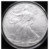 2009 SILVER EAGLE GEM
