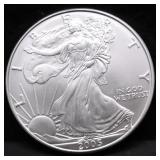 2005 SILVER EAGLE GEM