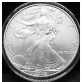2009 SILVER EAGLE GEM