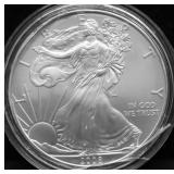 2008 SILVER EAGLE GEM
