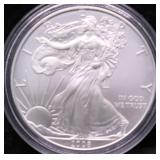 2008 SILVER EAGLE GEM