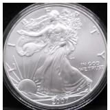 2007 SILVER EAGLE