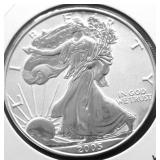 2005 REVERSE PROOF SILVER EAGLE