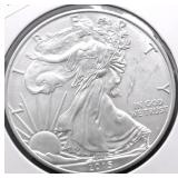 2013 SILVER EAGLE GEM