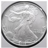 2005 SILVER EAGLE GEM