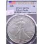 White Gold Coin Auction