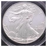 2015 SILVER EAGLE GEM