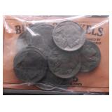 10 BUFFALO NICKELS