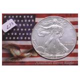 2013 SILVER EAGLE GEM