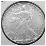 2003 SILVER EAGLE GEM