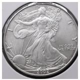 2002 SILVER EAGLE GEM