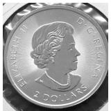 1/2 OZ .9999 SILVER POLAR BEAR
