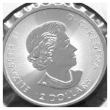 1/2 OZ .9999 SILVER POLAR BEAR