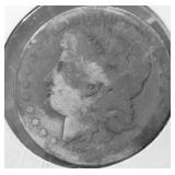 1881 MORGAN DOLLAR AG