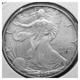 2004 SILVER EAGLE GEM