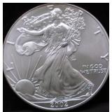 2002 SILVER EAGLE GEM