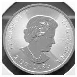HALF OZ .9999 SILVER CANADA MAPLE LEAF
