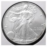 2002 SILVER EAGLE GEM