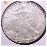 2002 SILVER EAGLE GEM