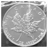 2004 CANADA MAPLE LEAF GEM