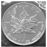 2004 CANADA MAPLE LEAF GEM