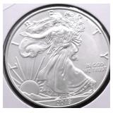 2019 SILVER EAGLE GEM