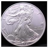 2021 SILVER EAGLE GEM