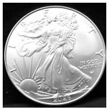 2026 SILVER EAGLE GEM