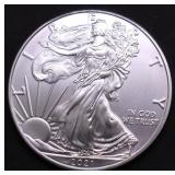2021 SILVER EAGLE GEM