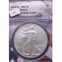 Big Bear Coin Auction