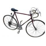 Nishiki 10 Speed Bicycle