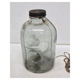 Early Camp Glass Minnow Trap