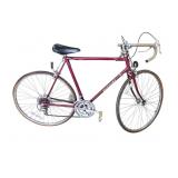 Nishiki 10 Speed Bicycle