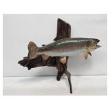 6lb Rainbow Trout Taxidermy Mount