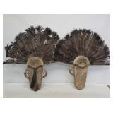 2 Wild Turkey Fans Taxidermy Mounts