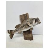 Largemouth Bass Taxidermy Mount