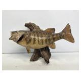 Smallmouth Bass Taxidermy Mount