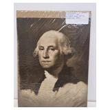 1901 George Washington Portrait