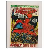 MARVEL AMAZING SPIDER-MAN #112 BRONZE AGE KEY