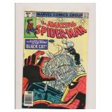 MARVEL AMAZING SPIDER-MAN #205 BRONZE AGE