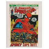 AMAZING SPIDER-MAN #112 KEY BRONZE AGE MARVEL
