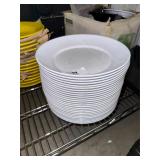 Dinner Plates