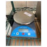 AvaWeigh 334PCR10 Commercial Scale